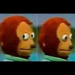 Meet your Posher, Paul